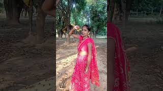 Parinde Vich Dil Atka bollywood hindisong [upl. by Ellehcar854]