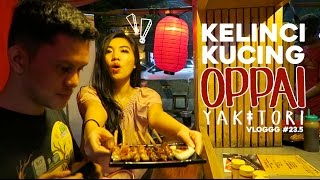 VLOGGG 235 Kelinci Kucing dan Oppai Yakitori [upl. by Essirahs]