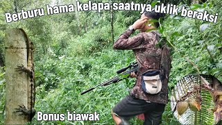 EDAN LURR HAMA DISINI BANYAK BANGET SAMPAI KEBUN PETANI RUSAK SAMA HAMA BAJING BERBURU HAMA [upl. by Remark398]