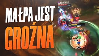 MAŁPA JEST GROŹNA [upl. by Secrest]