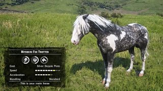 Best amp Proper Way to Get the Fastest Missouri Fox Trotter Horse Early  RDR2 [upl. by Merrill859]