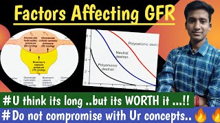 Glomerular Filtration Rate Factors Affecting GFR  Renal Physiology Hindi  Ashish Agrawal [upl. by Leugar169]