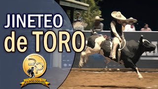 ¡JINETEO DE TORO  5to Torneo del Millon 2019 [upl. by Dinsmore688]