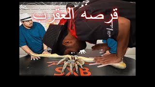 لحظة لدغ ابراهيم من العقرب في تحدي شونق😱😱🔥 [upl. by Yelnek]