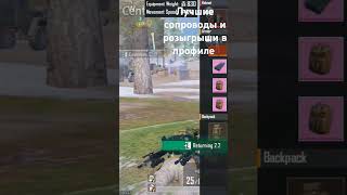 пабгмобайл метророяль pubglover pubgmobile акулаз акулаз pubg pubgmobilemetro metro2 [upl. by Havelock688]