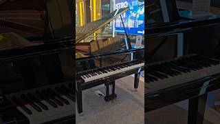 PIANO [upl. by Fredela]