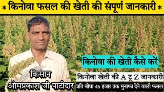 किनोवा खेती की संपूर्ण जानकारी  Quinoa ki kheti  किनोवा की खेती कैसे करें  लाल किनोवा की खेती [upl. by Nelyak]