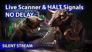 ​🌟Live Scanner Stock Market scanner  Silent Stream nodelay voice only 11252024 [upl. by Haem]