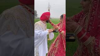 Tenu Hor Koi Na Dekhe😝😝😝❣️❣️❣️😍😍😍 punjab love couplegoals pindawale gurnambhullar viralshort [upl. by Campman461]