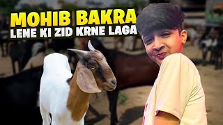 Mohib Bakra lene Ki Zid Krne laga 🦌🦌 [upl. by Leeland]