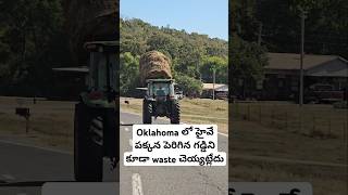 Oklahoma లో హైవే పక్కన పెరిగిన గడ్డిని కూడా waste చెయ్యట్లేదు usa telugu vlogs [upl. by Ad375]