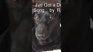 Sallys Song ive got a dog [upl. by Nrobyalc]