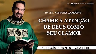 Homilia Diária  Liturgia de Hoje Palavra do Dia  Padre Adriano Zandoná [upl. by Haelahk]