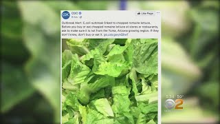 60 People Sickened In 16 States From Bad Lettuce [upl. by Lyred]