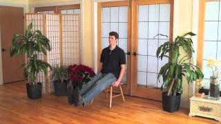 Mindful Chair Yoga A Complete Beginners Practice 40 minutes [upl. by Susumu]