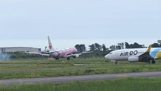 日本トランスオーシャン航空「さくらジンベエジェット」 ＆ エアドゥ B737700＠仙台空港 [upl. by Arita17]