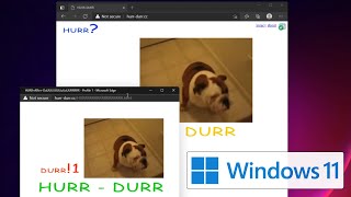 HURRDURR on Windows 11 [upl. by Enilehcim]