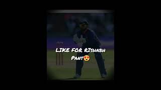 Select your favourite wicket keeper coach 8dbasspunjabmusic music cricketworldcup2023cricketw [upl. by Emoraj]