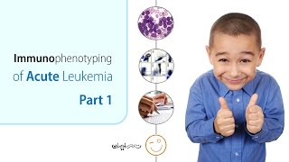 Immunophenotyping of Acute Leukemia  Part 1 of 4 [upl. by Battiste]