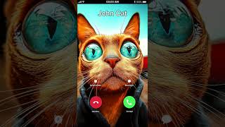 John Cat Calling ♥️😭 at 3AM 🐯 [upl. by Anigroeg565]