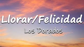 LlorarFelicidad  Armonía de Emociones LetraLyrics [upl. by Mayyahk441]