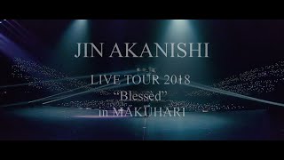 JIN AKANISHI 赤西 仁  LIVE TOUR 2018 “Blessèd” in MAKUHARI [upl. by Ayot]