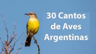 30 especies de aves con sus cantos [upl. by Hammerskjold]