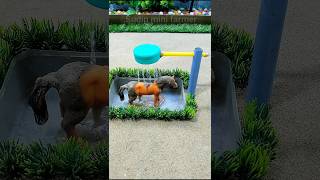 Mini motor water pump project horse water bathed videos  331 [upl. by Ainatnas]