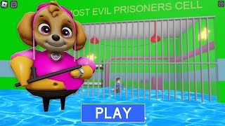 PAW PATROL SKYE BARRYS PRISON RUN WATER roblox obby [upl. by Vilma]