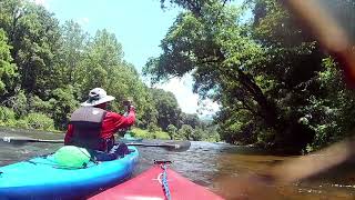 Kayaking the Tuckaseegee River  East LaPorte River Access to Webster River Access 742024 [upl. by Aicilav964]