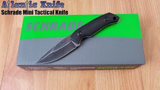 SCHRADE MINI TACTICAL DROP PT FULL TANG FIXED BLADE BLACK G10 KYDEX HANDLE KNIFE F13SM [upl. by Ennaear]