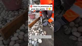 ⛔Voici le processus de pose des galets ‼️😲 shorts galet caillou mortar concrete technical wow [upl. by Adnal201]