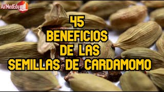 45 Beneficios de las Semillas de Cardamomo [upl. by Allimac448]