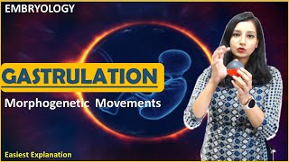 GASTRULATION I Morphogenetic Movement Epiboly Emboly Invagination involution Ingression Delamination [upl. by Player]