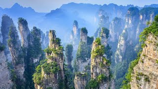 Top Geologist Reveals Hidden Gems of Zhangjiajie National Forest [upl. by Ellerahc110]