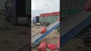 Truck Loading conviar belt 😱😱😱youtubeshorts machine shortsviral [upl. by Arremat]