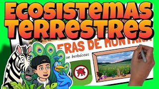 🌳 Los ECOSISTEMAS TERRESTRES para NIÑOS [upl. by Elohcim]