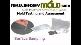 Mold Inspection NJ  Mold Testing 7325043743  NewJerseyMoldcom [upl. by Nylirak]