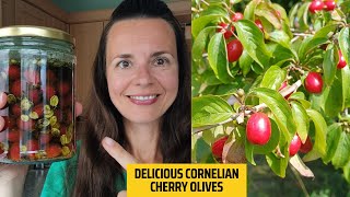 Homemade Cornelian Cherry Olives A StepbyStep Guide [upl. by Neitsabes]