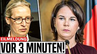 EIL Alice Weidel VERKÜNDET das UNGLAUBLICHE [upl. by Nyladnewg317]