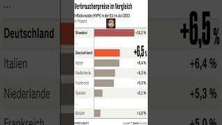 Verbraucherpreisindex Inflationsrate Juli 2023 [upl. by Martell]