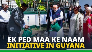 LIVE PM Modi takes part in Ek Ped Maa Ke Naam initiative in Guyana [upl. by Butterfield]