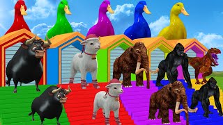 5 Giant Duck Cartoon Cow Dog Sheep Donkey Bull Paint Animals Wild Crossing Fountain Animation [upl. by Naujek]