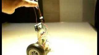 simple balancing analog robot [upl. by Erin84]