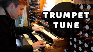 Trumpet Tune in DMajor Paul Fey on the Great quotSonnenorgelquot in Görlitz  Pipe Organ Music [upl. by Gaven]