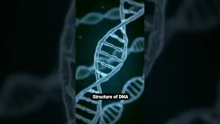 The Structure of DNA [upl. by Cogswell]