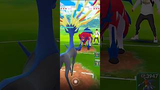 Zamazenta VS Xerneas PVP Legendary Battle in pokemongo [upl. by Docila258]