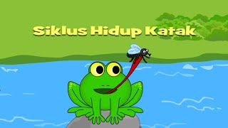 Belajar Siklus Hidup Katak  Tahap Metamorfosis Katak [upl. by Ainavi]