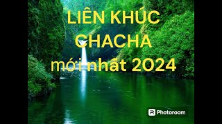 Liên khúc chacha 2024 [upl. by Peppi]