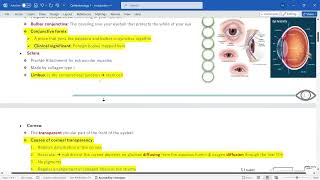 Ophthalmology 1  Anatomy amp introduction [upl. by Dan]